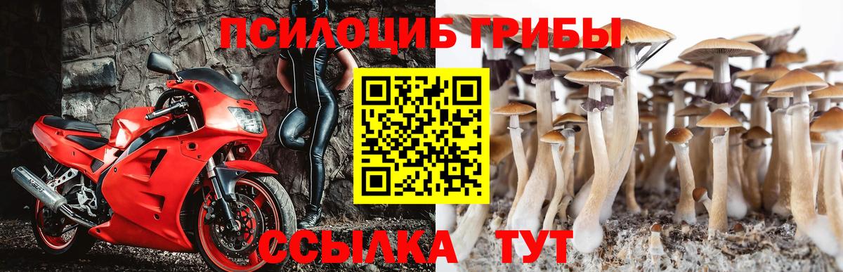Псилоцибиновые грибы мухоморы  Вход с VPN  Чайковский 